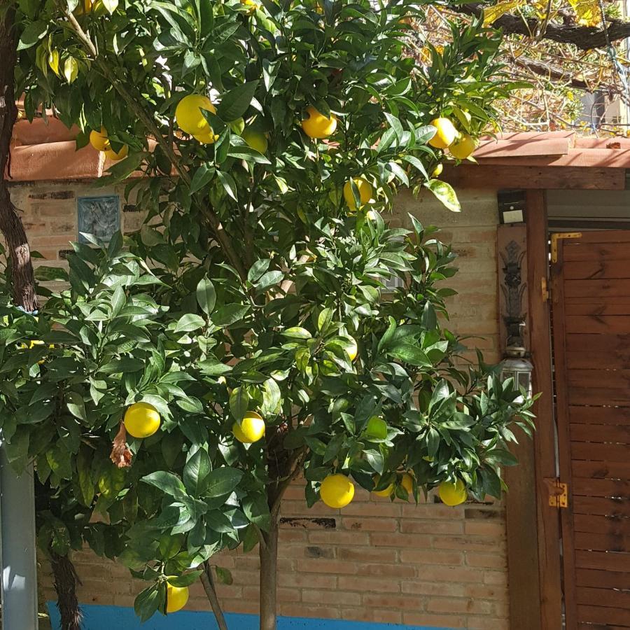 Hotel Alina كانجاس ديل نارسيا المظهر الخارجي الصورة